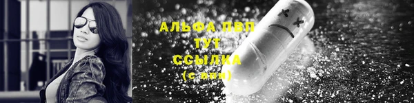 дживик Беломорск