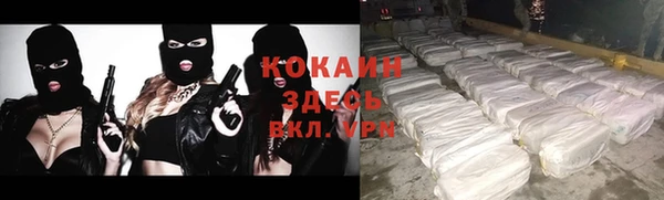 прущие крисы Белокуриха