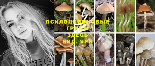 прущие крисы Белокуриха