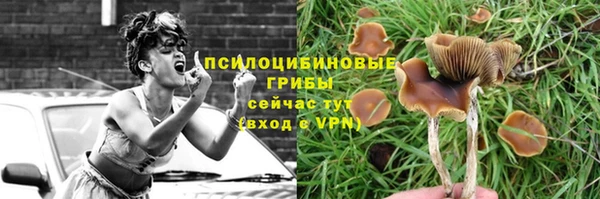 прущие крисы Белокуриха