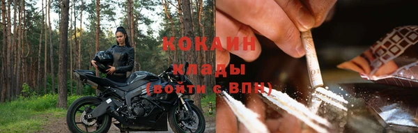 прущие крисы Белокуриха