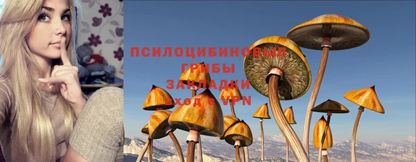 прущие крисы Белокуриха