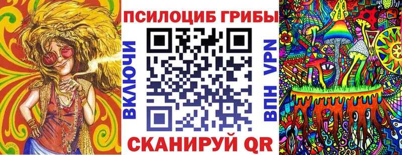 ссылка на мегу онион  Вязники  Галлюциногенные грибы Psilocybine cubensis  наркота 