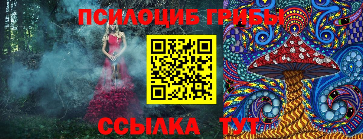 Галлюциногенные грибы Вязники
